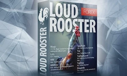 Советник Loud Rooster в подарок